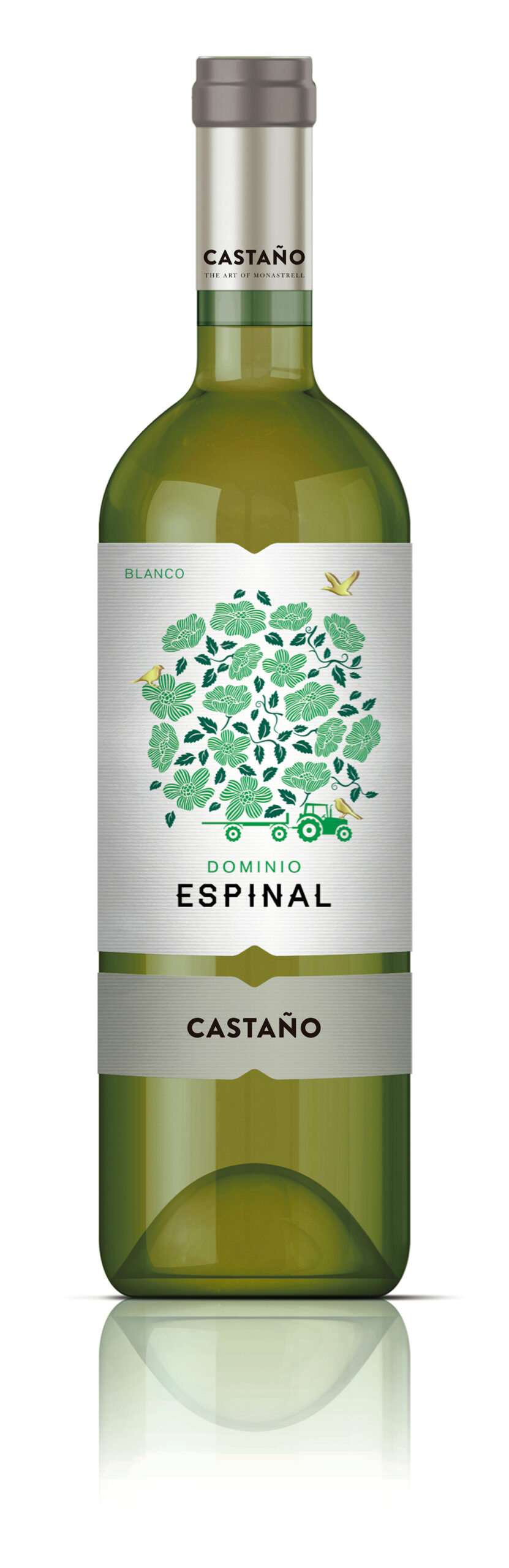 Dominio Espinal Blanco