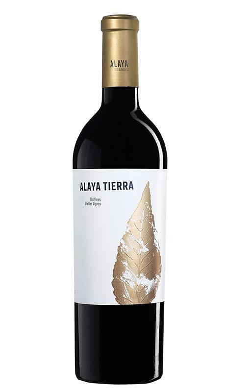 Juan Gil Alaya Tierra